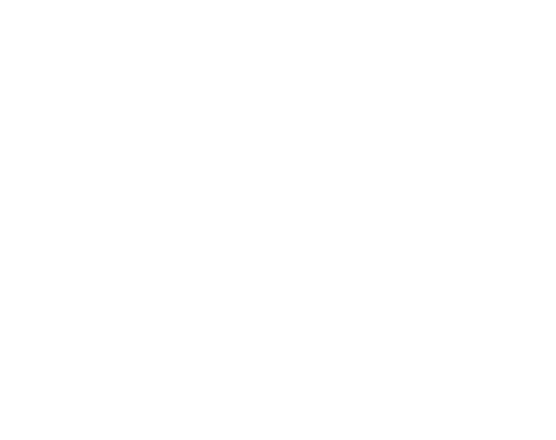 High Caliber Property Inspections - A house icon surrounding the words "High Caliber"